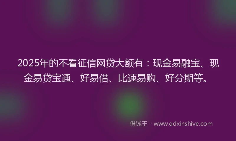 2025年的不看征信网贷大额有：现金易融宝、现金易贷宝通、好易借、比速易购、好分期等。