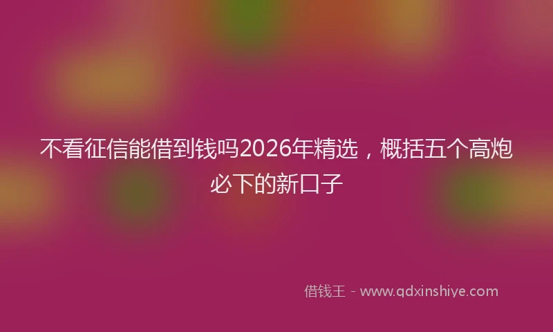 不看征信能借到钱吗2026年精选，概括五个高炮必下的新口子