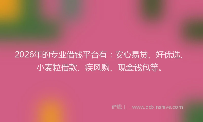 2026年的专业借钱平台有：安心易贷、好优选、小麦粒借款、疾风购、现金钱包等。