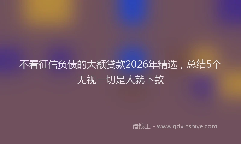 不看征信负债的大额贷款2026年精选，总结5个无视一切是人就下款