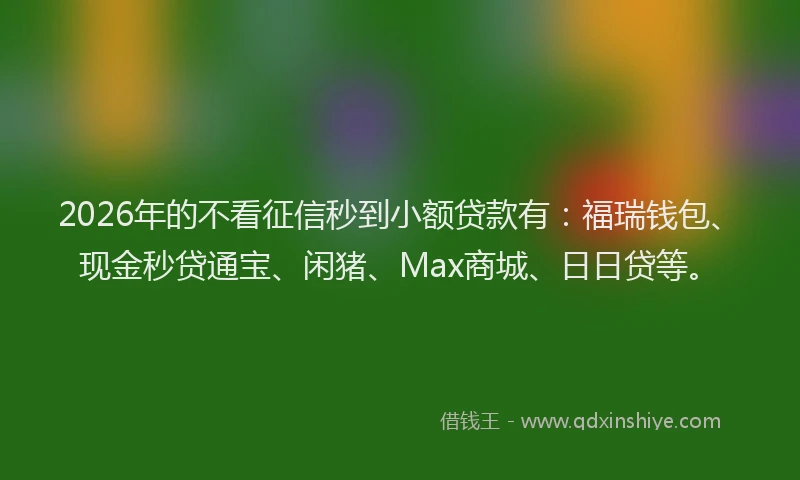 2026年的不看征信秒到小额贷款有:福瑞钱包、现金秒贷通宝、闲猪、Max商城、日日贷等。