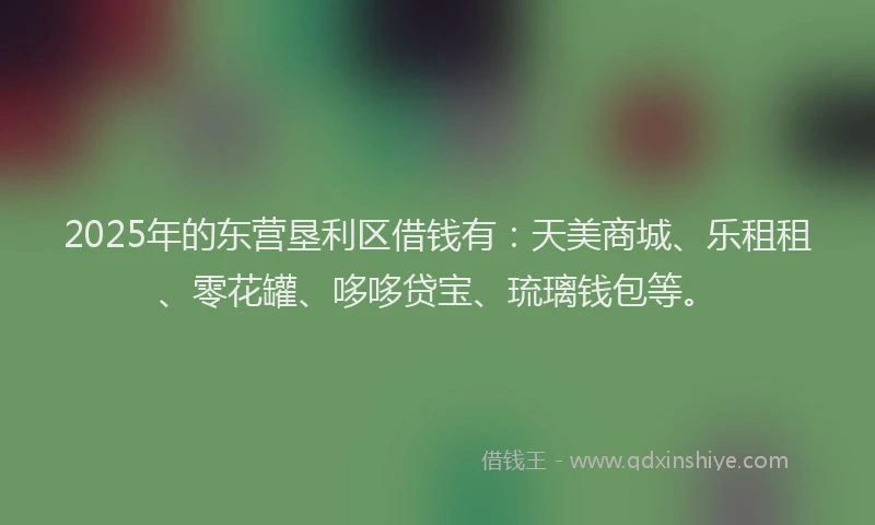 2025年的东营垦利区借钱有:天美商城、乐租租、零花罐、哆哆贷宝、琉璃钱包等。
