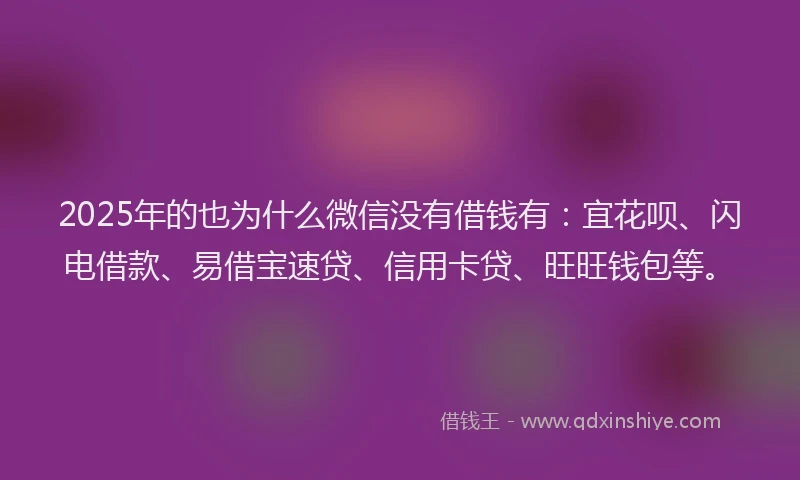 2025年的也为什么微信没有借钱有：宜花呗、闪电借款、易借宝速贷、信用卡贷、旺旺钱包等。