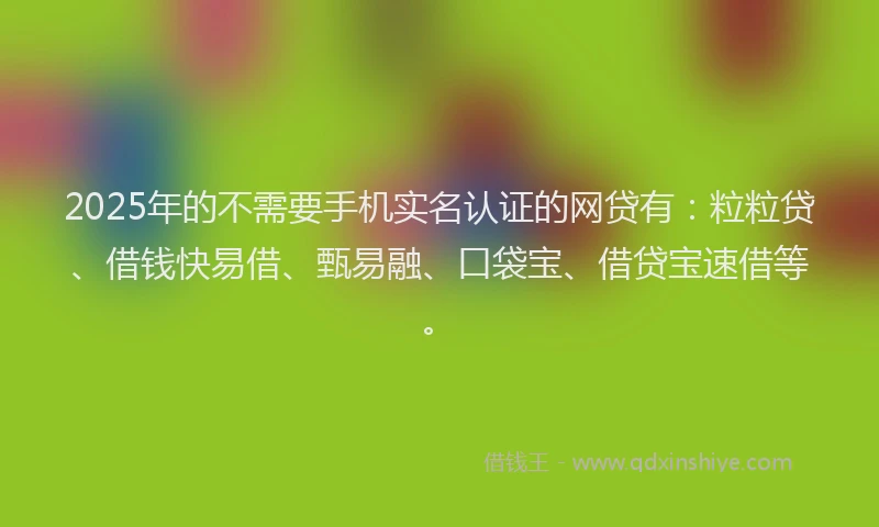 2025年的不需要手机实名认证的网贷有：粒粒贷、借钱快易借、甄易融、口袋宝、借贷宝速借等。