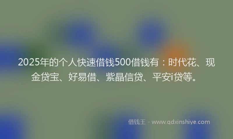 2025年的个人快速借钱500借钱有：时代花、现金贷宝、好易借、紫晶信贷、平安i贷等。