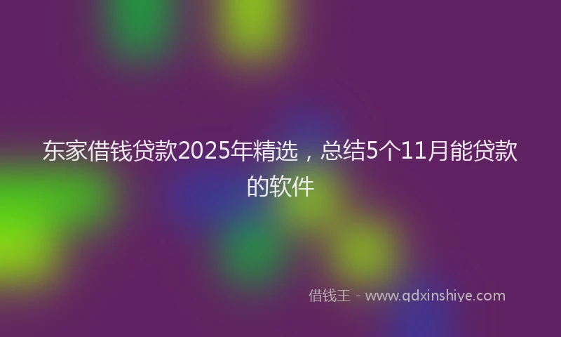 东家借钱贷款2025年精选，总结5个11月能贷款的软件