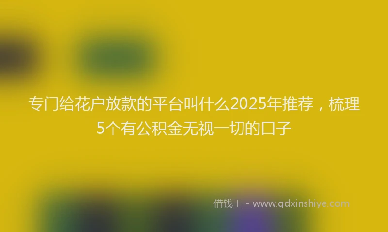 专门给花户放款的平台叫什么2025年推荐，梳理5个有公积金无视一切的口子