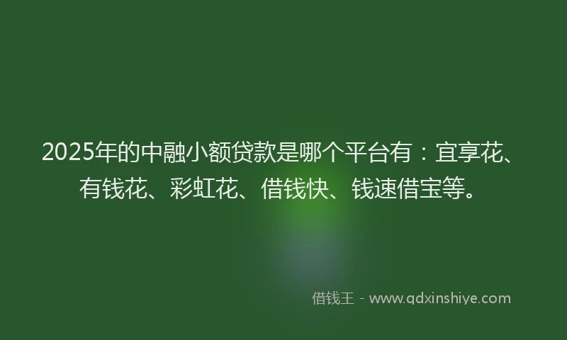 2025年的中融小额贷款是哪个平台有：宜享花、有钱花、彩虹花、借钱快、钱速借宝等。