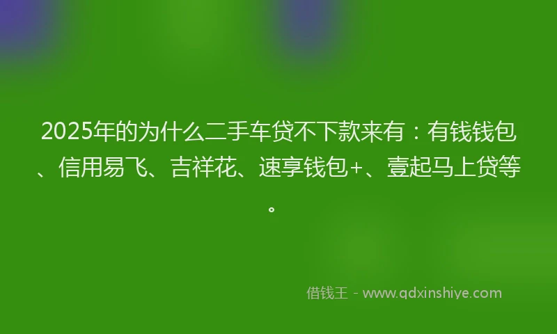 2025年的为什么二手车贷不下款来有:有钱钱包、信用易飞、吉祥花、速享钱包+、壹起马上贷等。