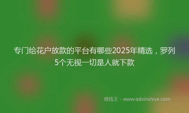 专门给花户放款的平台有哪些2025年精选,罗列5个无视一切是人就下款