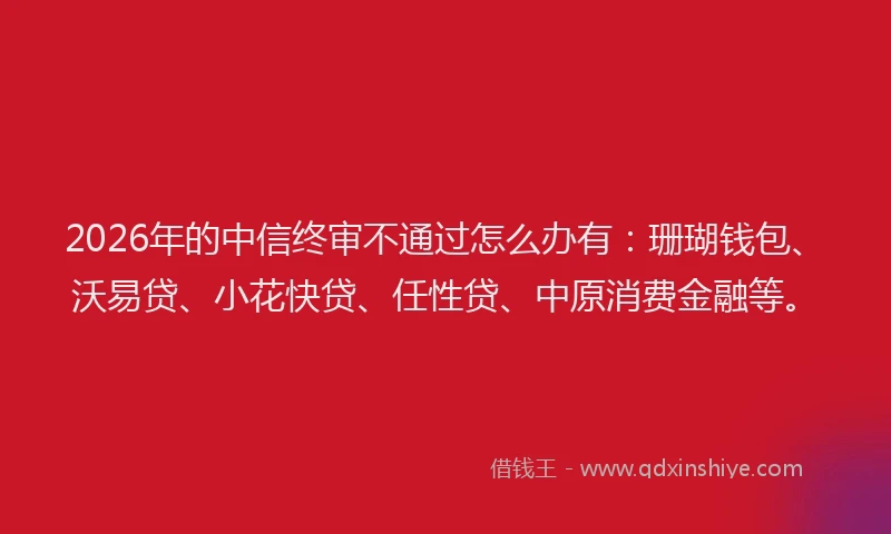 2026年的中信终审不通过怎么办有：珊瑚钱包、沃易贷、小花快贷、任性贷、中原消费金融等。