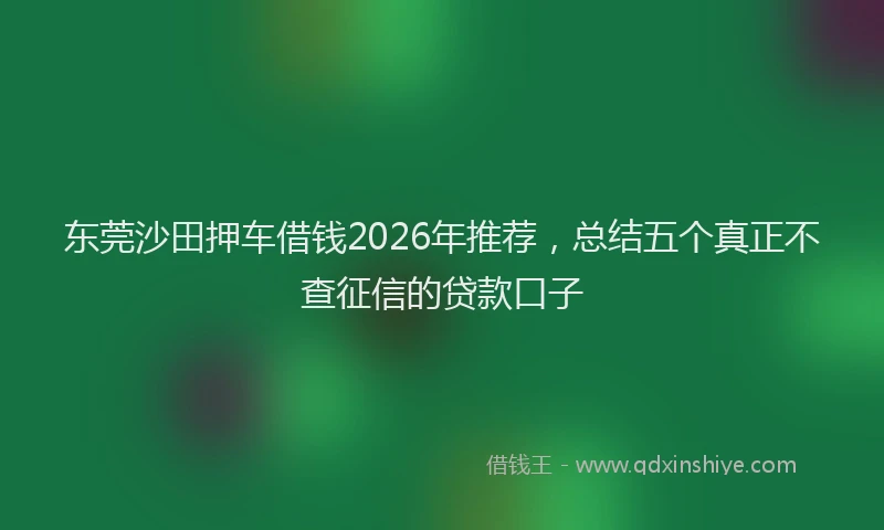 东莞沙田押车借钱2026年推荐，总结五个真正不查征信的贷款口子