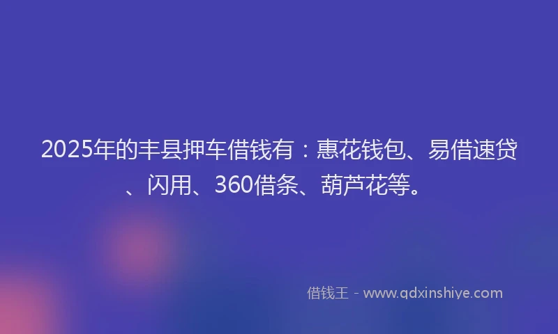 2025年的丰县押车借钱有:惠花钱包、易借速贷、闪用、360借条、葫芦花等。