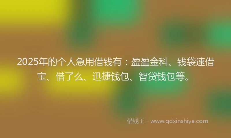 2025年的个人急用借钱有：盈盈金科、钱袋速借宝、借了么、迅捷钱包、智贷钱包等。