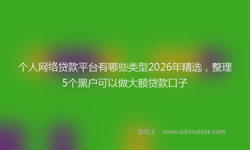 个人网络贷款平台有哪些类型2026年精选，整理5个黑户可以做大额贷款口子