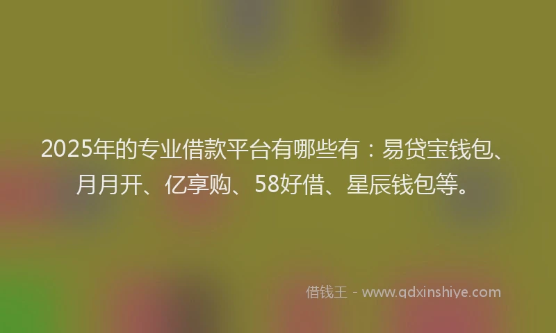 2025年的专业借款平台有哪些有：易贷宝钱包、月月开、亿享购、58好借、星辰钱包等。