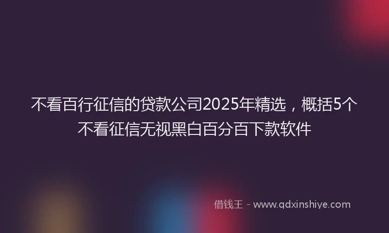 不看百行征信的贷款公司2025年精选，概括5个不看征信无视黑白百分百下款软件