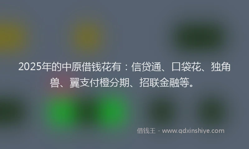 2025年的中原借钱花有：信贷通、口袋花、独角兽、翼支付橙分期、招联金融等。