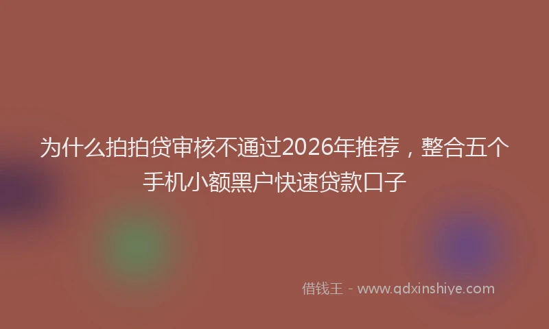 为什么拍拍贷审核不通过2026年推荐，整合五个手机小额黑户快速贷款口子