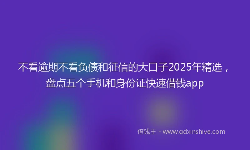 不看逾期不看负债和征信的大口子2025年精选，盘点五个手机和身份证快速借钱app