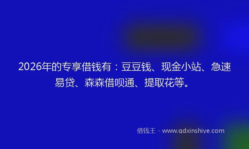 2026年的专享借钱有：豆豆钱、现金小站、急速易贷、森森借呗通、提取花等。