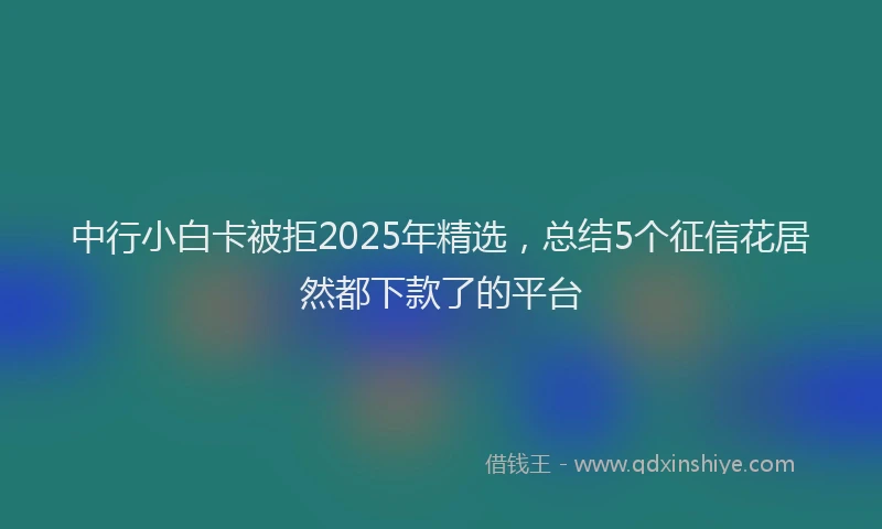 中行小白卡被拒2025年精选，总结5个征信花居然都下款了的平台