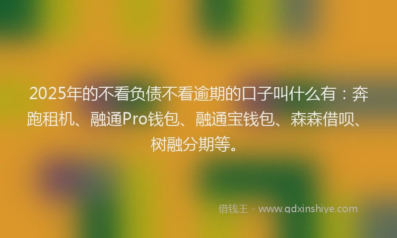 2025年的不看负债不看逾期的口子叫什么有：奔跑租机、融通Pro钱包、融通宝钱包、森森借呗、树融分期等。