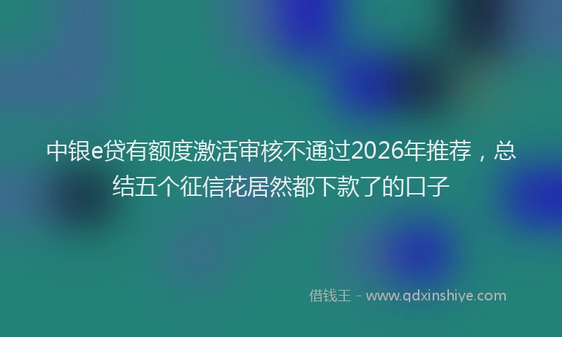 中银e贷有额度激活审核不通过2026年推荐，总结五个征信花居然都下款了的口子