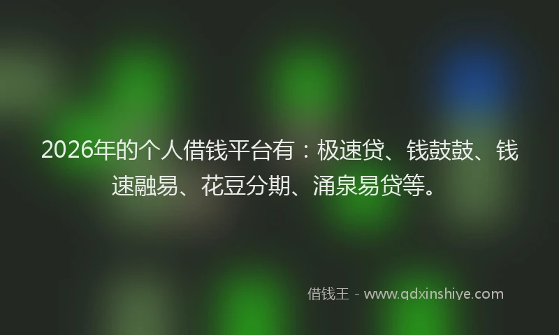 2026年的个人借钱平台有：极速贷、钱鼓鼓、钱速融易、花豆分期、涌泉易贷等。