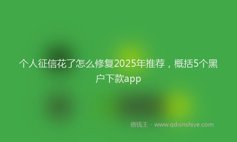 个人征信花了怎么修复2025年推荐，概括5个黑户下款app