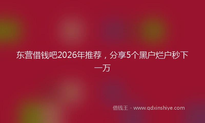东营借钱吧2026年推荐,分享5个黑户烂户秒下一万