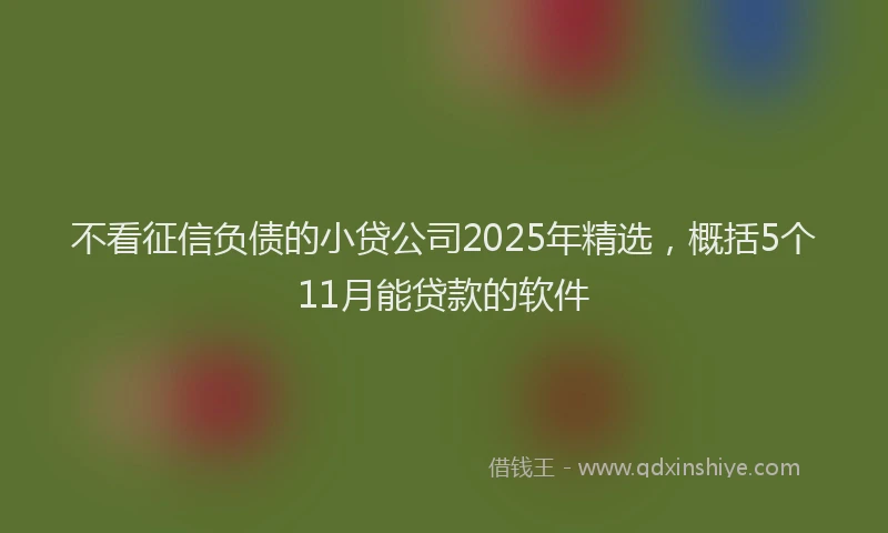 不看征信负债的小贷公司2025年精选,概括5个11月能贷款的软件