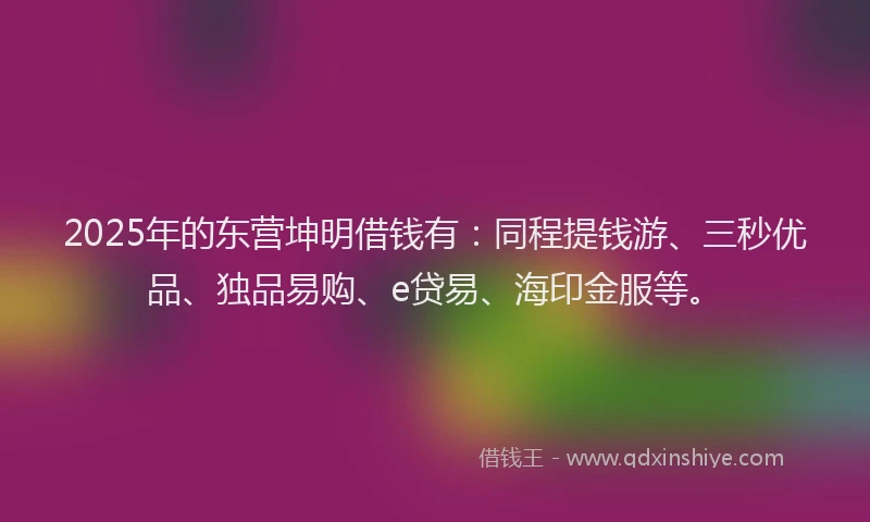 2025年的东营坤明借钱有：同程提钱游、三秒优品、独品易购、e贷易、海印金服等。
