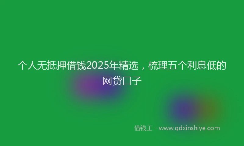 个人无抵押借钱2025年精选，梳理五个利息低的网贷口子