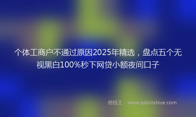 个体工商户不通过原因2025年精选,盘点五个无视黑白100%秒下网贷小额夜间口子