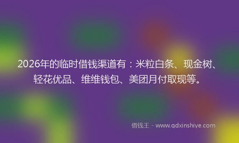 2026年的临时借钱渠道有：米粒白条、现金树、轻花优品、维维钱包、美团月付取现等。