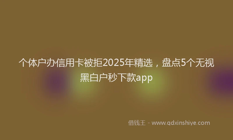 个体户办信用卡被拒2025年精选，盘点5个无视黑白户秒下款app