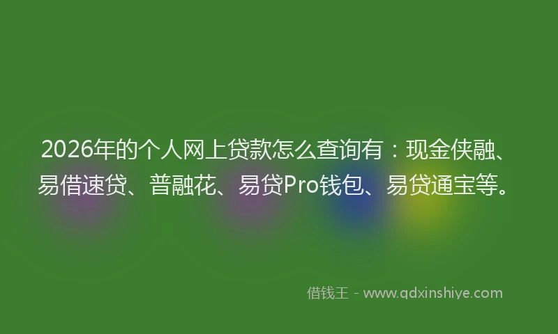 2026年的个人网上贷款怎么查询有：现金侠融、易借速贷、普融花、易贷Pro钱包、易贷通宝等。