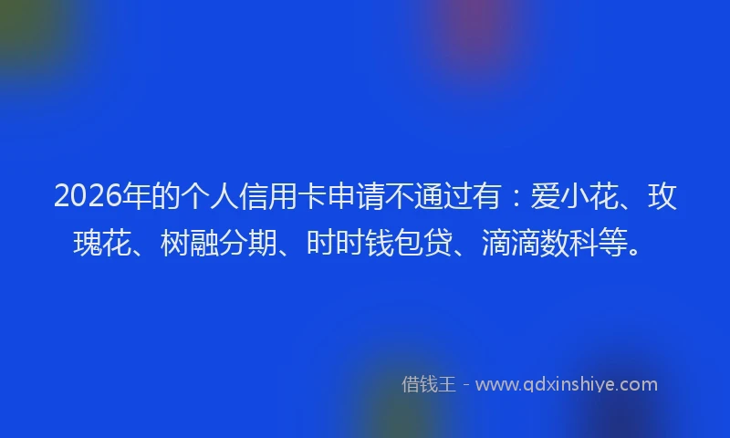 2026年的个人信用卡申请不通过有：爱小花、玫瑰花、树融分期、时时钱包贷、滴滴数科等。