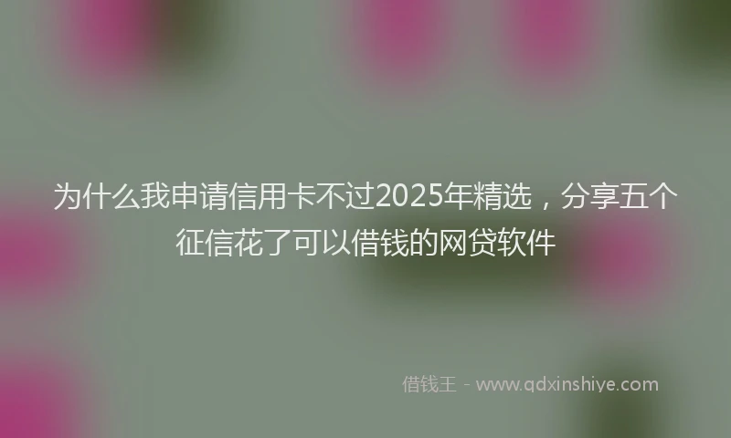 为什么我申请信用卡不过2025年精选，分享五个征信花了可以借钱的网贷软件