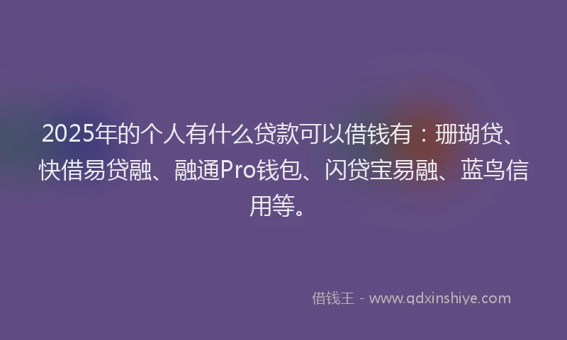 2025年的个人有什么贷款可以借钱有：珊瑚贷、快借易贷融、融通Pro钱包、闪贷宝易融、蓝鸟信用等。