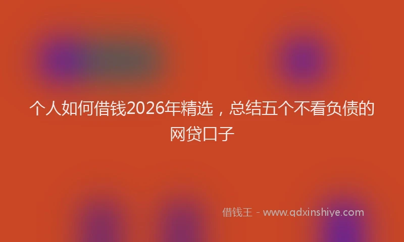 个人如何借钱2026年精选，总结五个不看负债的网贷口子