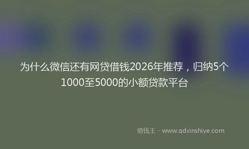为什么微信还有网贷借钱2026年推荐，归纳5个1000至5000的小额贷款平台