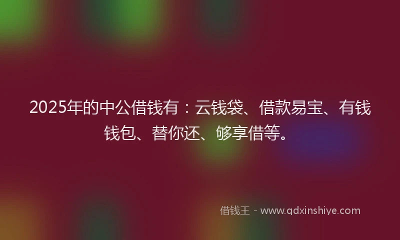 2025年的中公借钱有：云钱袋、借款易宝、有钱钱包、替你还、够享借等。