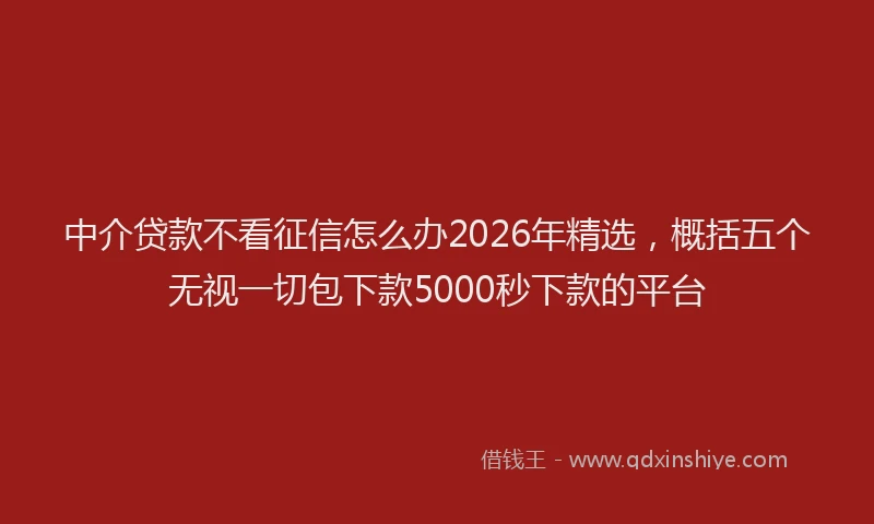 中介贷款不看征信怎么办2026年精选，概括五个无视一切包下款5000秒下款的平台