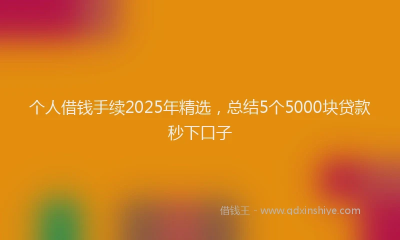 个人借钱手续2025年精选，总结5个5000块贷款秒下口子