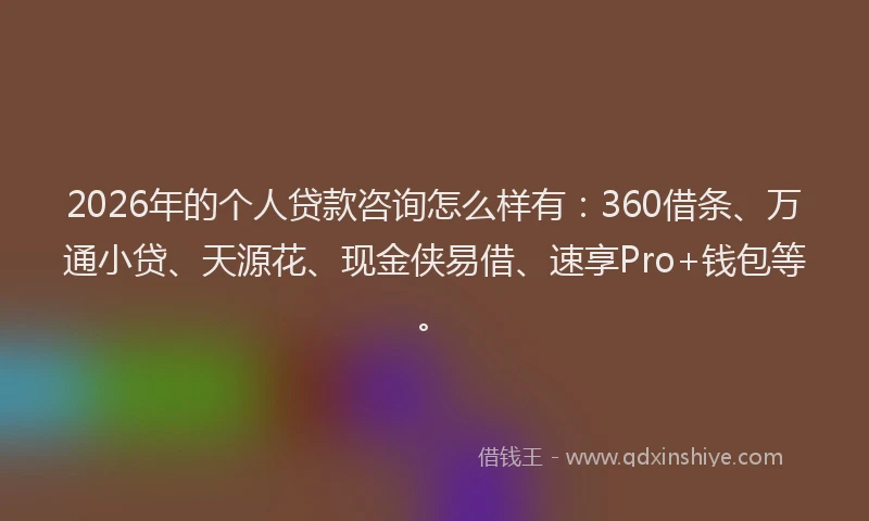 2026年的个人贷款咨询怎么样有：360借条、万通小贷、天源花、现金侠易借、速享Pro+钱包等。