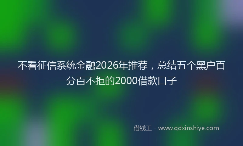 不看征信系统金融2026年推荐，总结五个黑户百分百不拒的2000借款口子