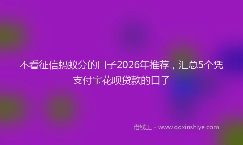 不看征信蚂蚁分的口子2026年推荐,汇总5个凭支付宝花呗贷款的口子