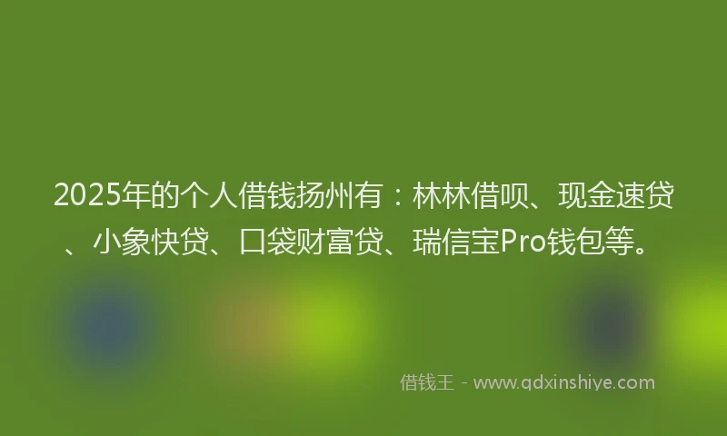 2025年的个人借钱扬州有:林林借呗、现金速贷、小象快贷、口袋财富贷、瑞信宝Pro钱包等。
